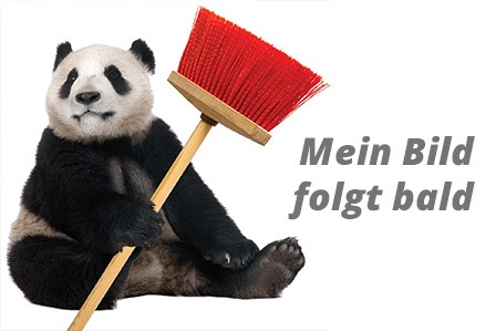 Mitarbeiterbild-Ersatz bei AGS Wild & Panda